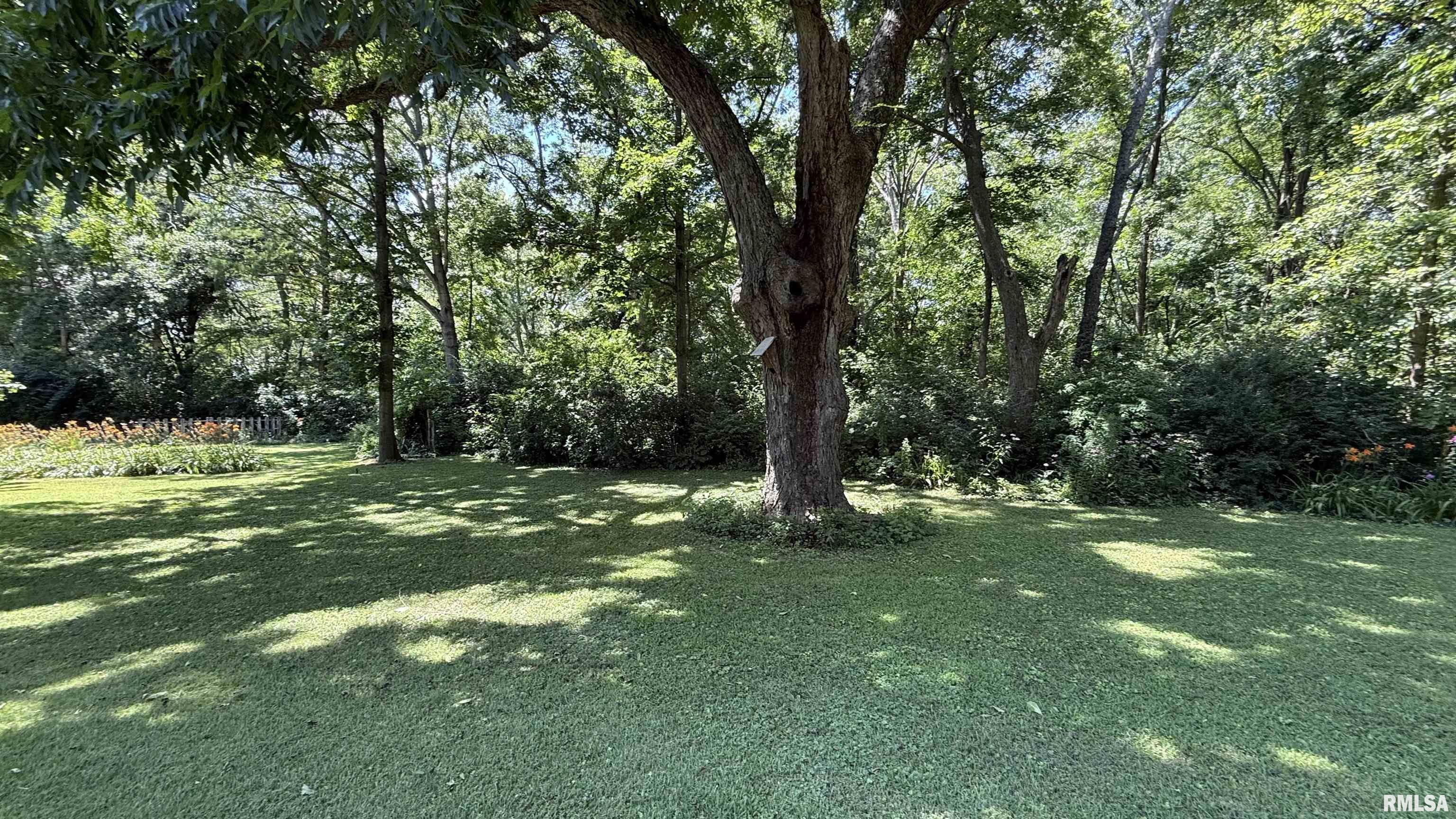 4355 Raleigh Road Eldorado, IL 62930 - Photo 43 of 48