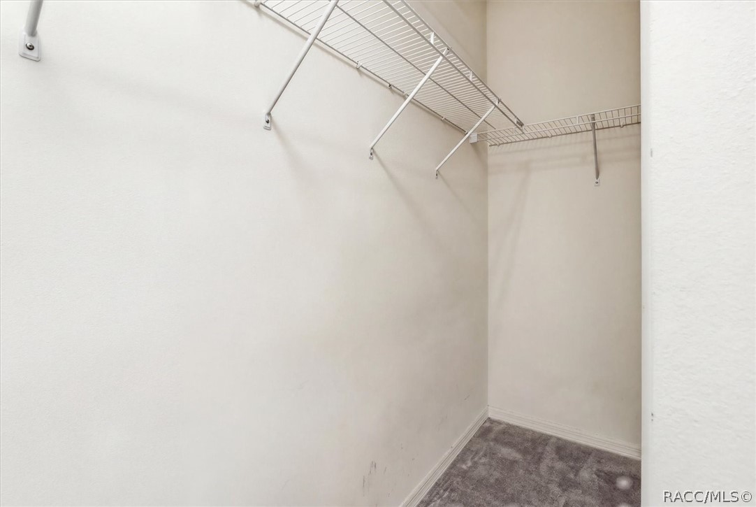 1668 West Spring Meadow Loop Lecanto, FL 34461 - Photo 23 of 56 Primary Walk-in Closet
