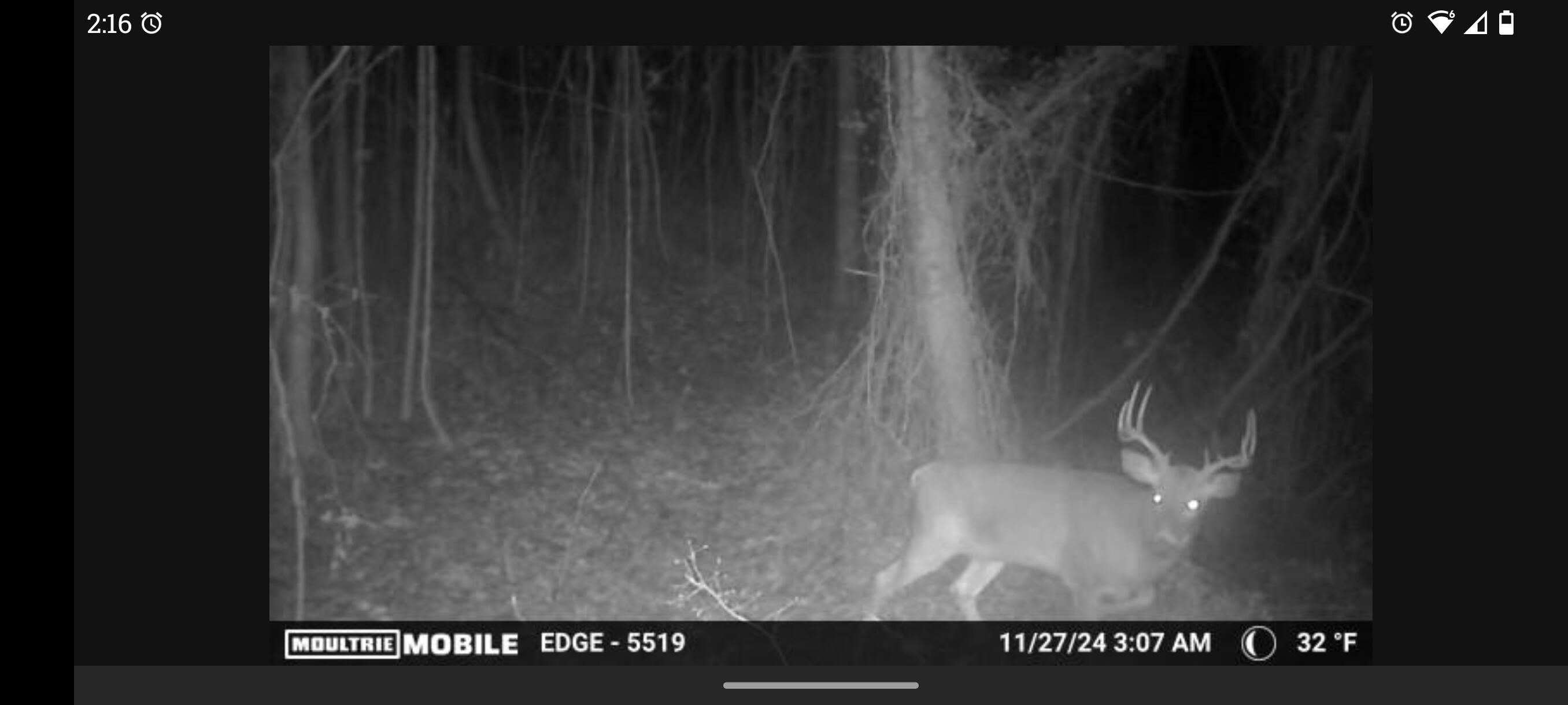 6 Toby Road Manchester, KY 40962 - Photo 13 of 14 Screenshot_20260127-141610.Moultrie