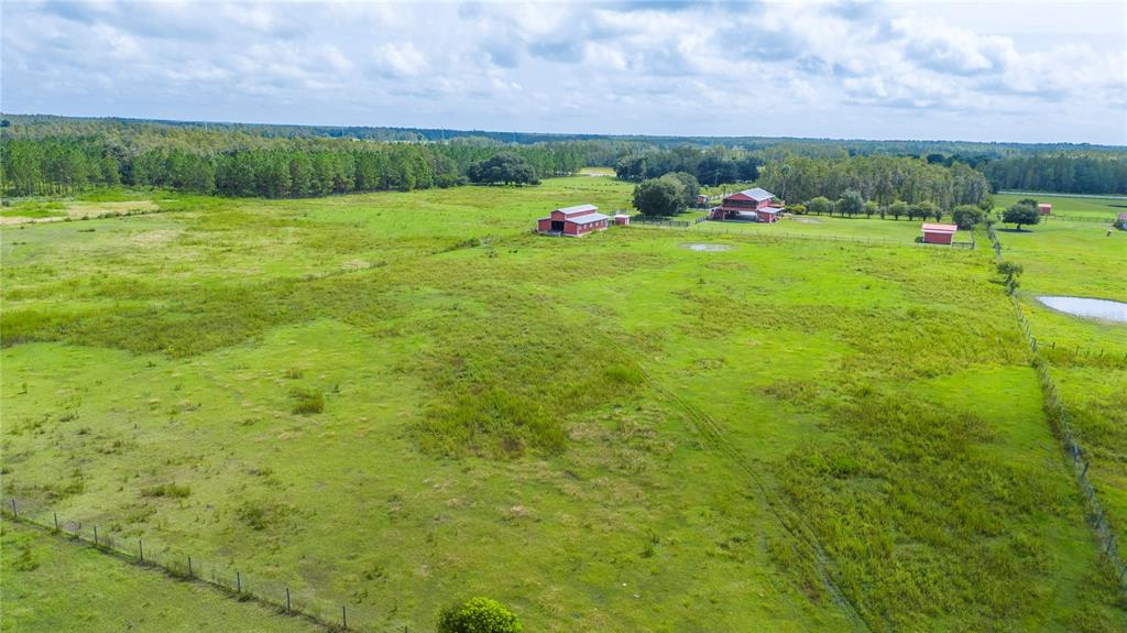 10680 Moore Road Lakeland, FL 33809 - Photo 81 of 85 Gallery Image 81