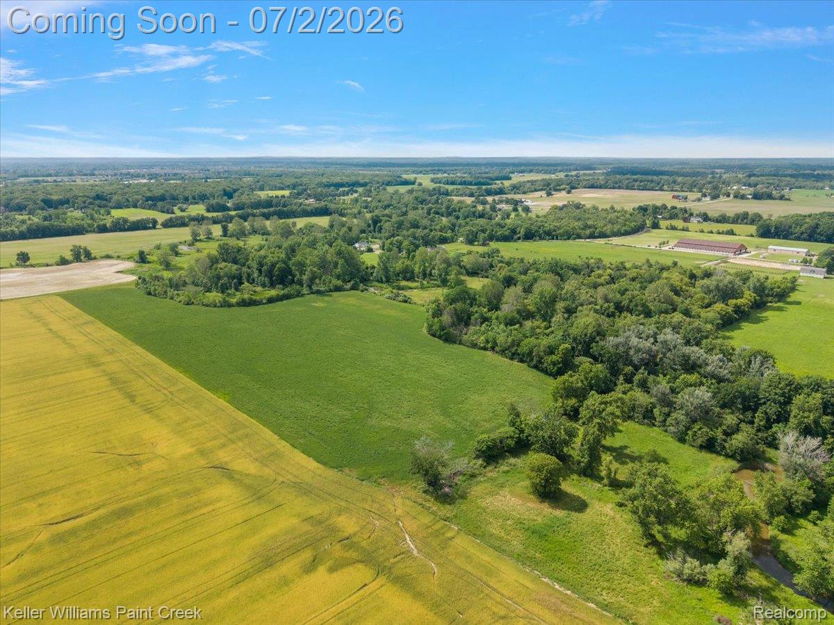 54230 Card Road Macomb, MI 48042 - Photo 22 of 73 Expansive agricultural fields with varied crops and bordering mature tree lines under a clear sky