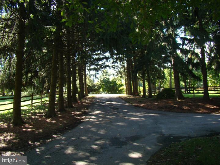 516 St Matthews Road Chester Springs, PA 19425 - Photo 2 of 25 Driveway