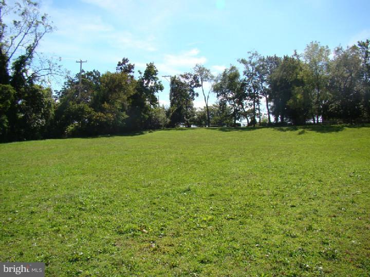 516 St Matthews Road Chester Springs, PA 19425 - Photo 24 of 25 Side Yard