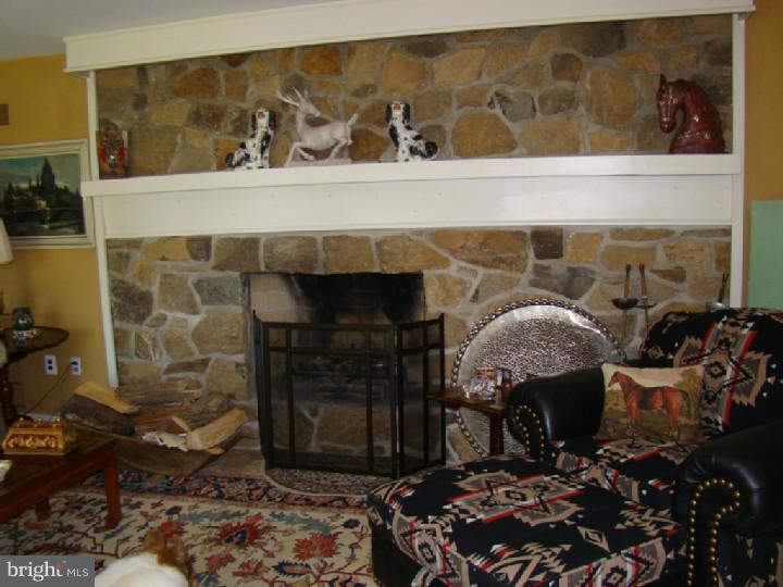 516 St Matthews Road Chester Springs, PA 19425 - Photo 8 of 25 Living Room
