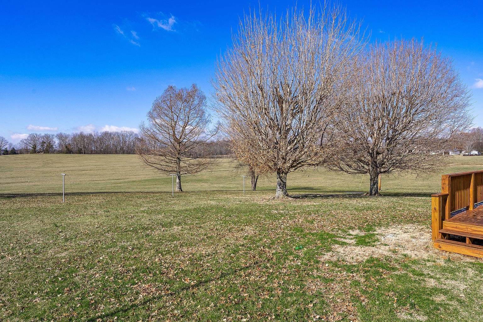 6401 Lucky Road McMinnville, TN 37110 - Photo 28 of 50 a view of dirt field with trees