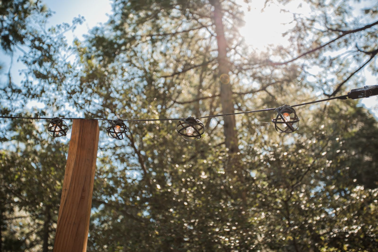 52507 Sylvan Way Idyllwild, CA 92549 - Photo 36 of 43 a picture of tree