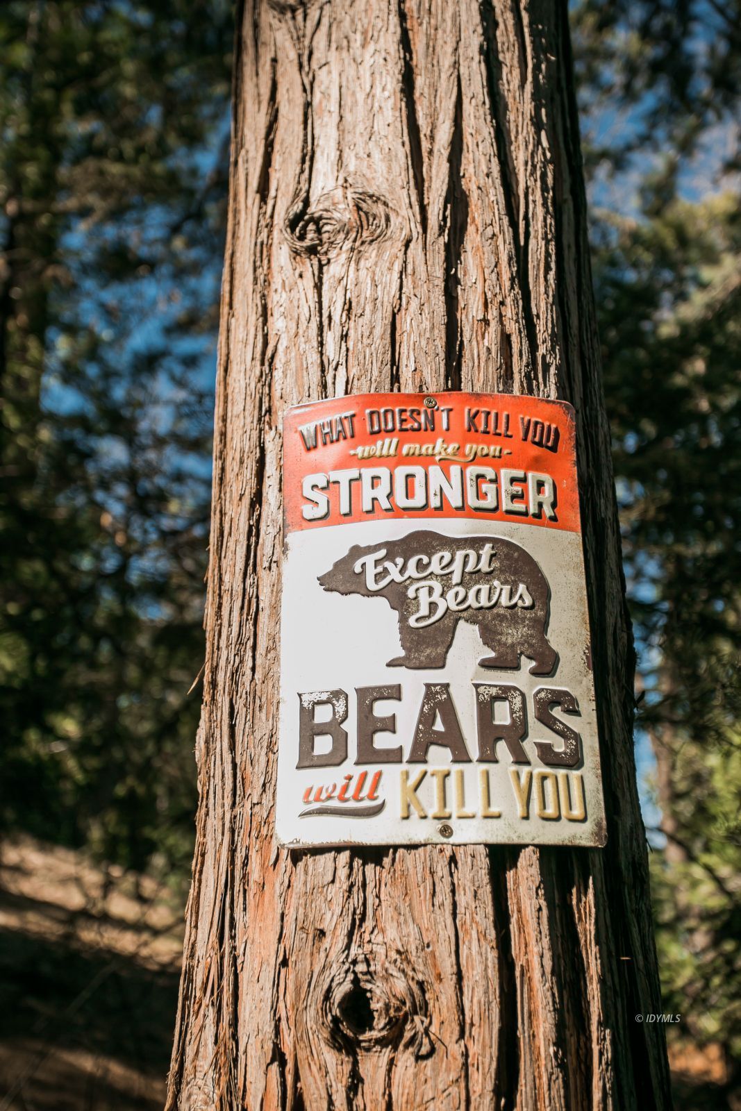 52507 Sylvan Way Idyllwild, CA 92549 - Photo 41 of 43 a street sign on a pole