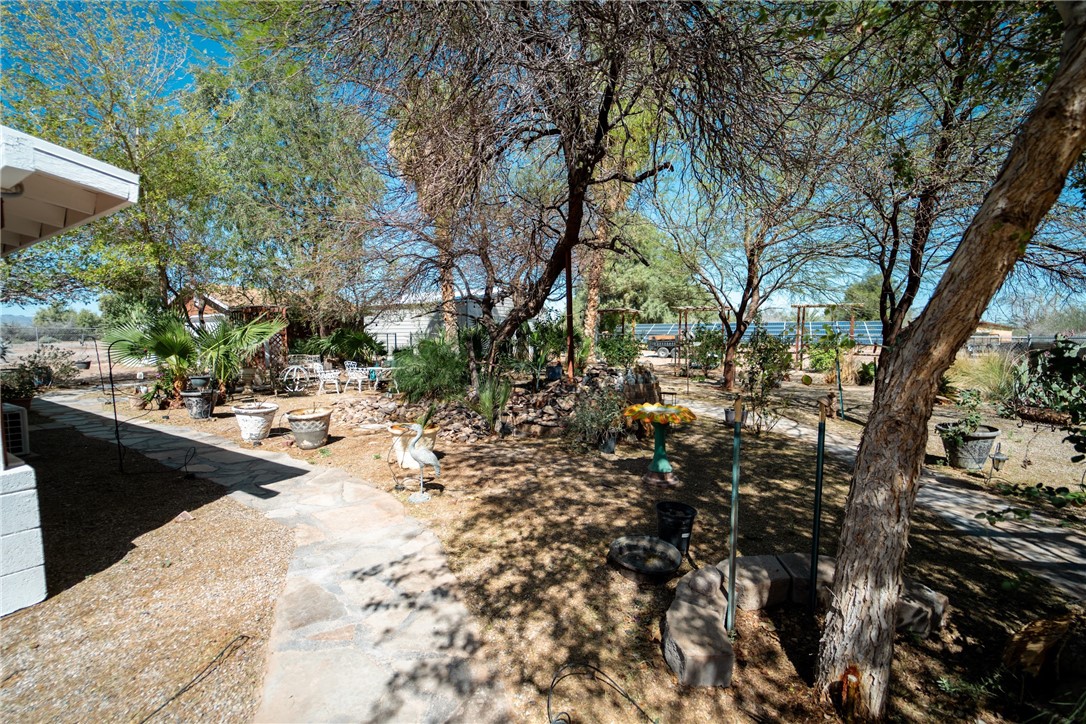 1985 Laguna Road Mohave Valley, AZ 86440 - Photo 60 of 83 The property features an outdoor area with mature trees, a stone pathway, and various potted plants