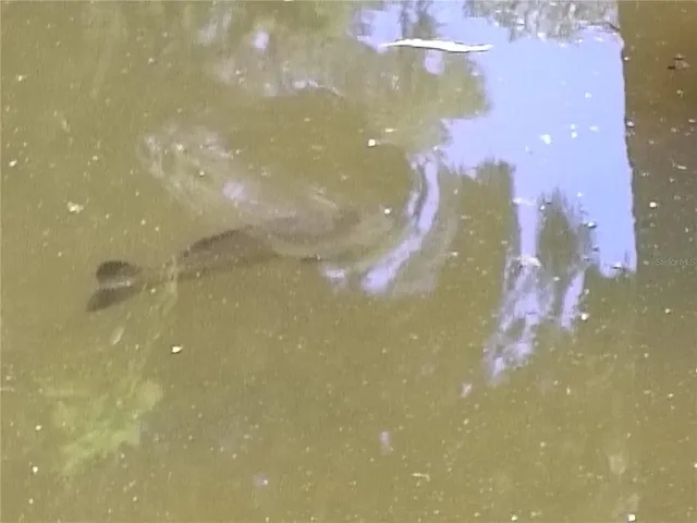 $139,000 | 52 Outlet Drive, Lake Panasoffkee, FL 33538