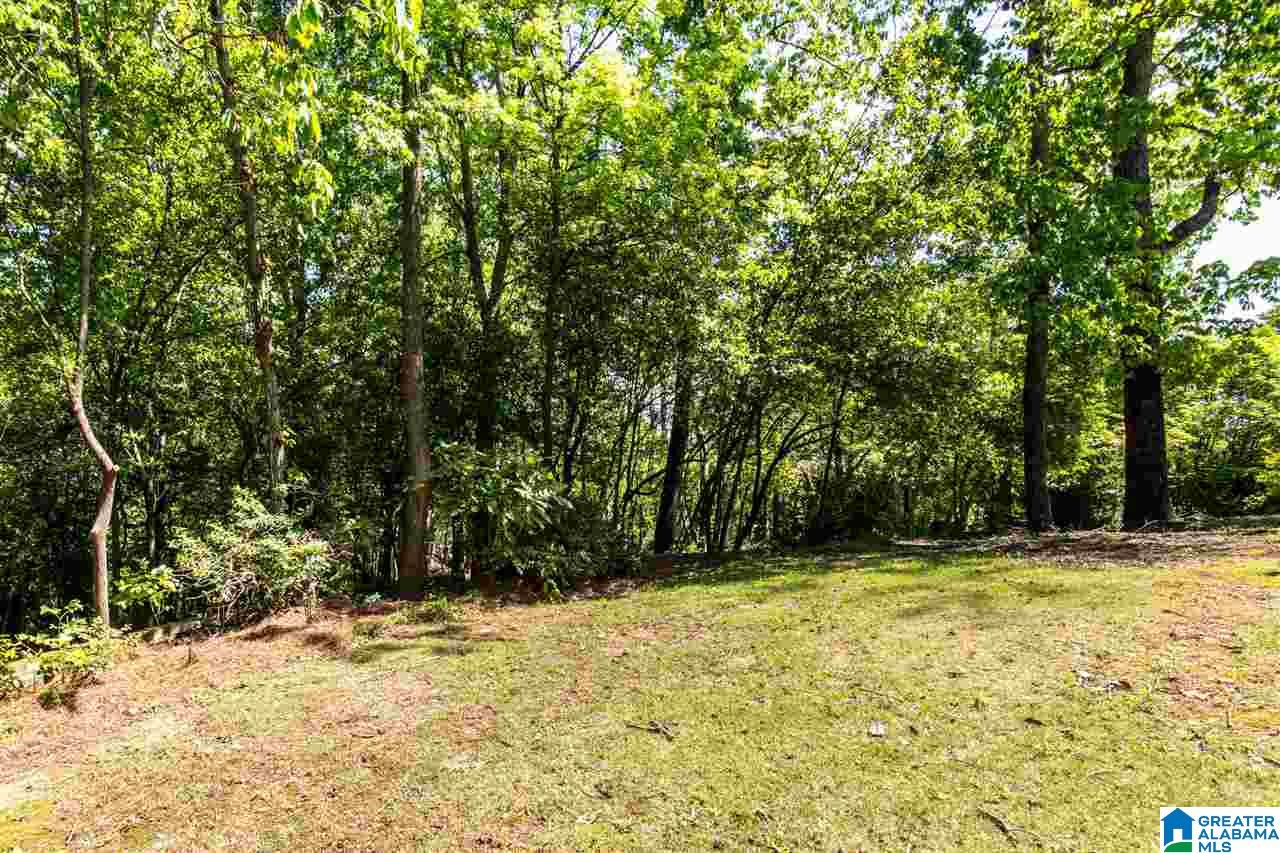 3541 Springhill Road Birmingham, AL 35223 - Photo 27 of 29