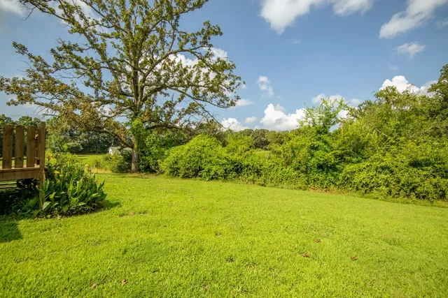a view of yard with green space