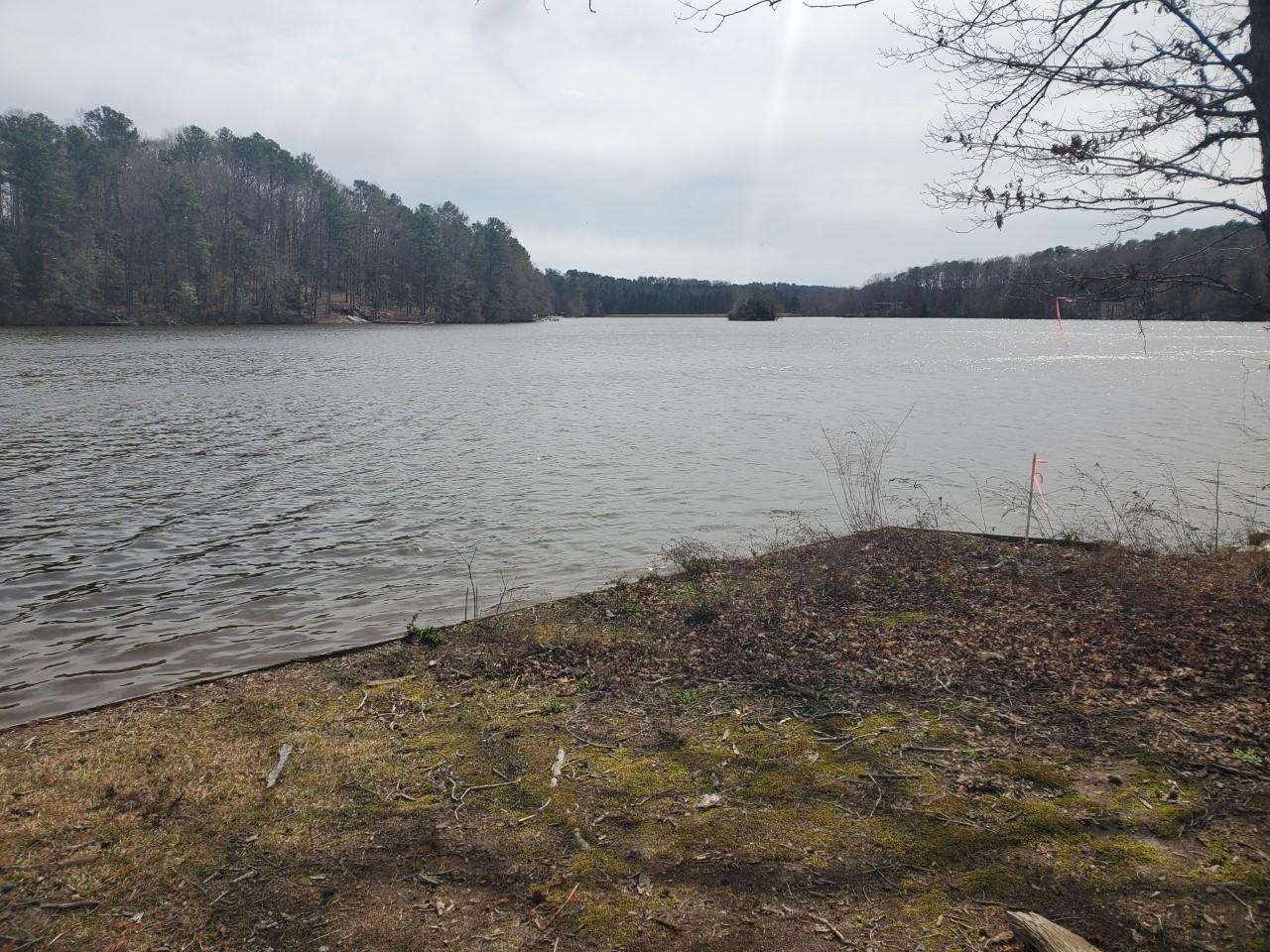 332 Grey Fox Road Ellerbe, NC 28338 - Photo 5 of 9 gf4