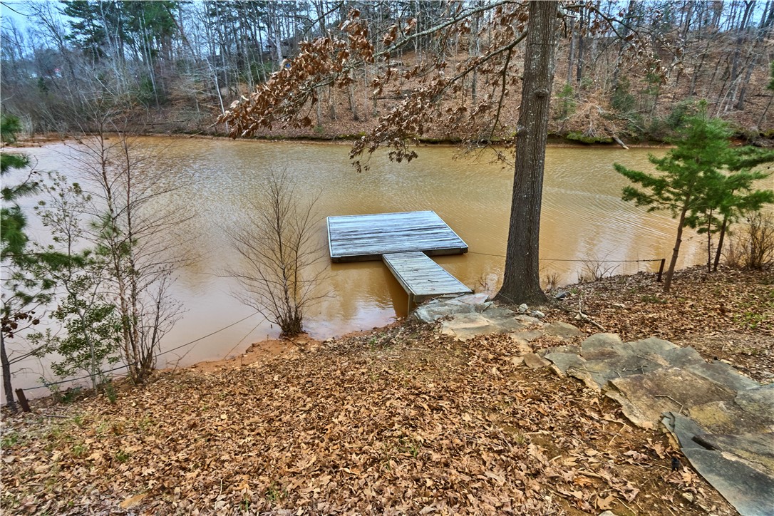 515 Inlet Drive, Unit SENECA Seneca, SC 29672 - Photo 20 of 22 Gallery Image 20