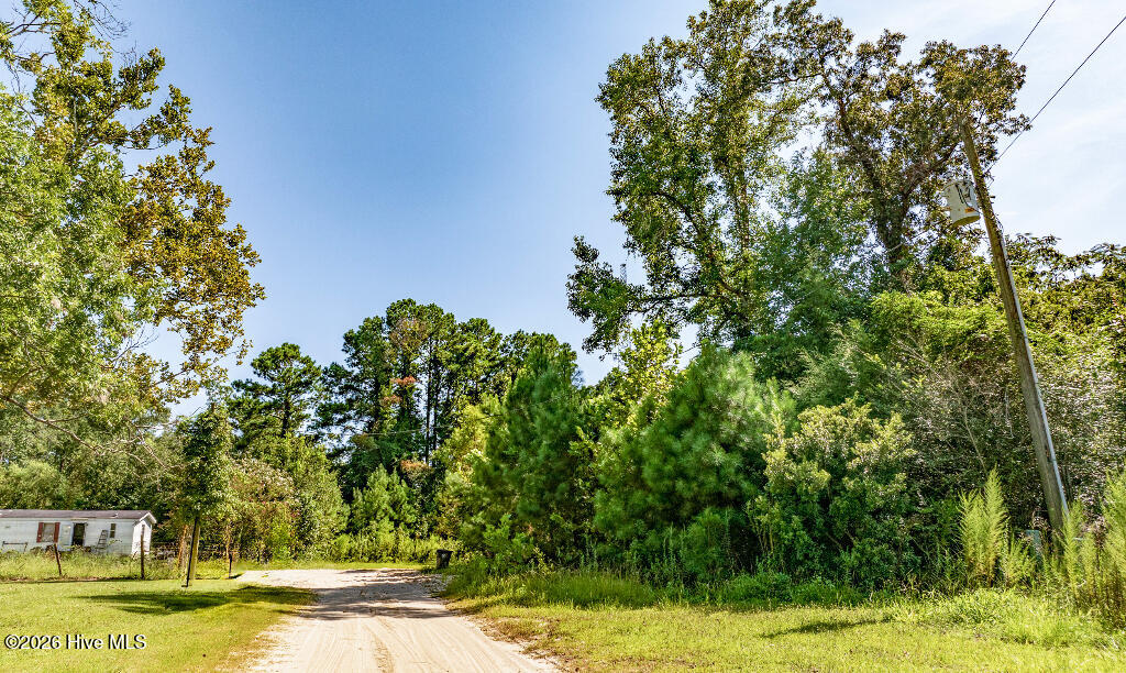 133 Shade Tree Lane Southwest Supply, NC 28462 - Photo 11 of 14 10