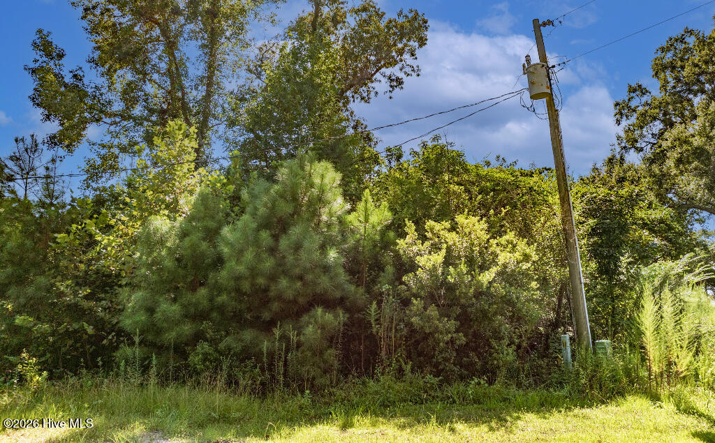 133 Shade Tree Lane Southwest Supply, NC 28462 - Photo 12 of 14 11