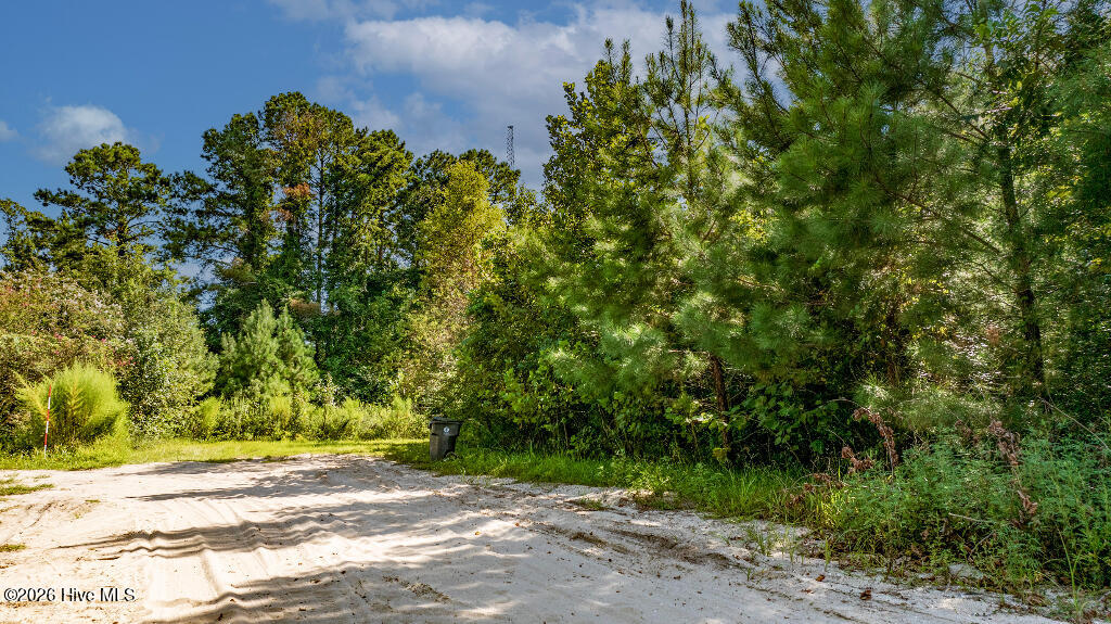 133 Shade Tree Lane Southwest Supply, NC 28462 - Photo 13 of 14 12