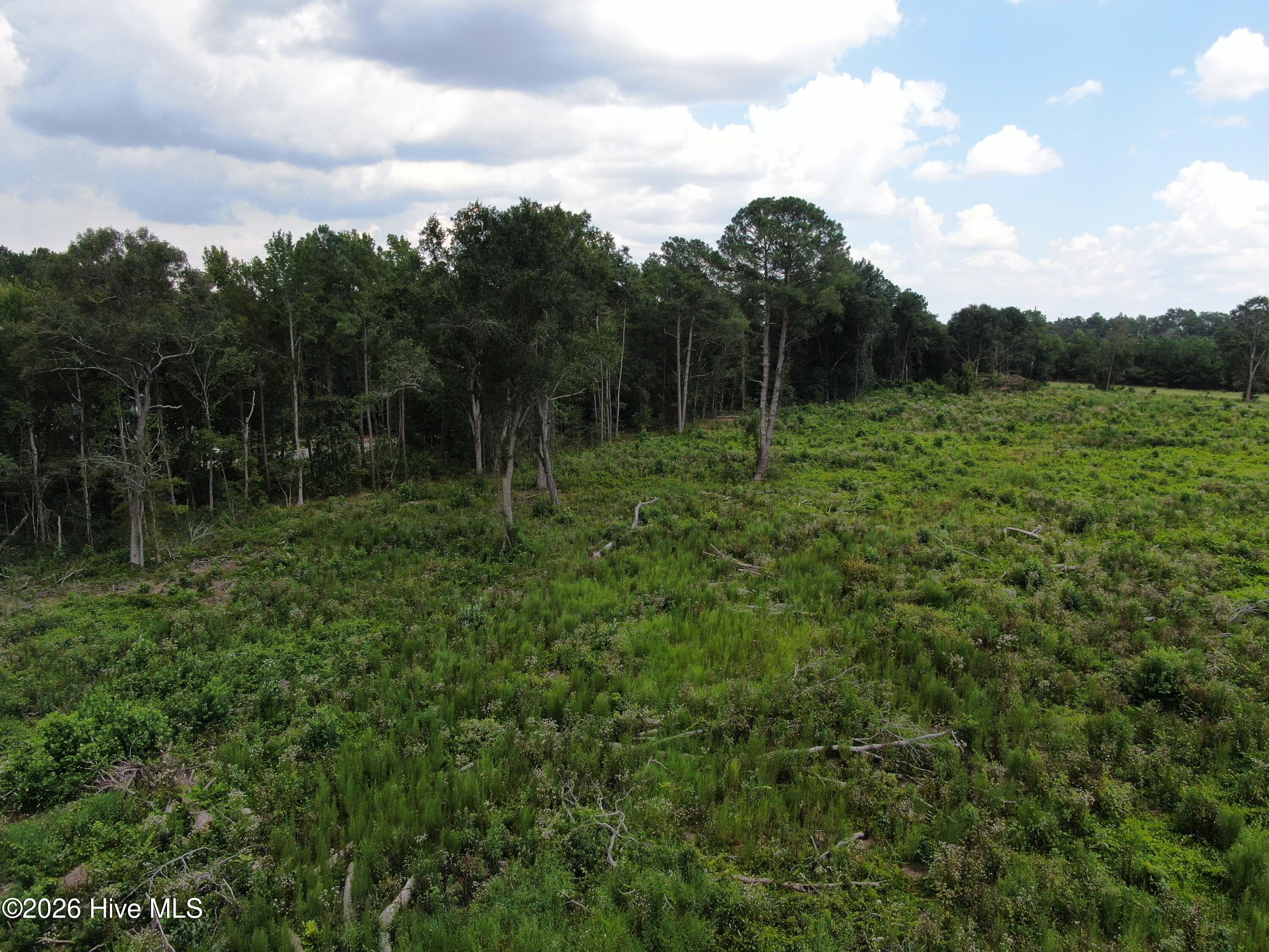 Tbd Johns Mill Road Maxton, NC 28364 - Photo 19 of 28 Gallery Image 19