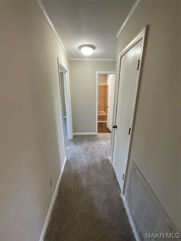 105 Cool Springs Road Opp, AL 36467 - Photo 10 of 42 Gallery Image 10