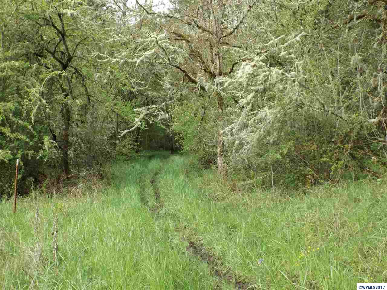 Weldon (lot 209) Road Lebanon, OR 97355 - Photo 14 of 17