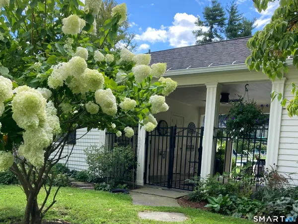 a bunch of flowers in front of house