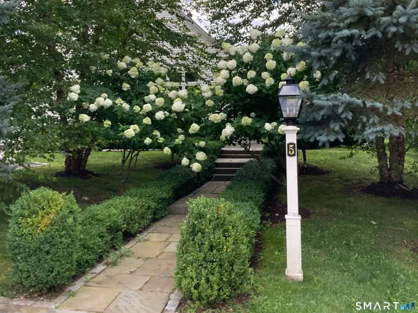 a view of a tree in front of house