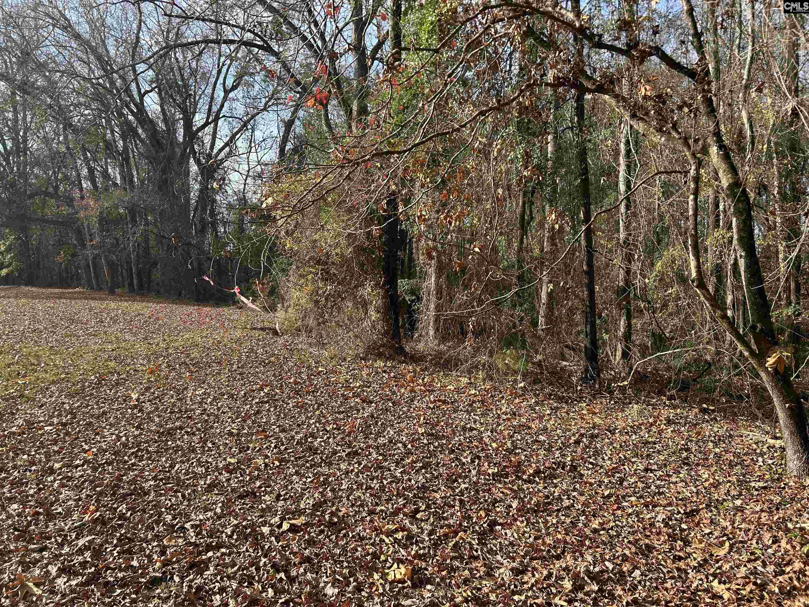 440 Paschal Road Elgin, SC 29045 - Photo 20 of 23