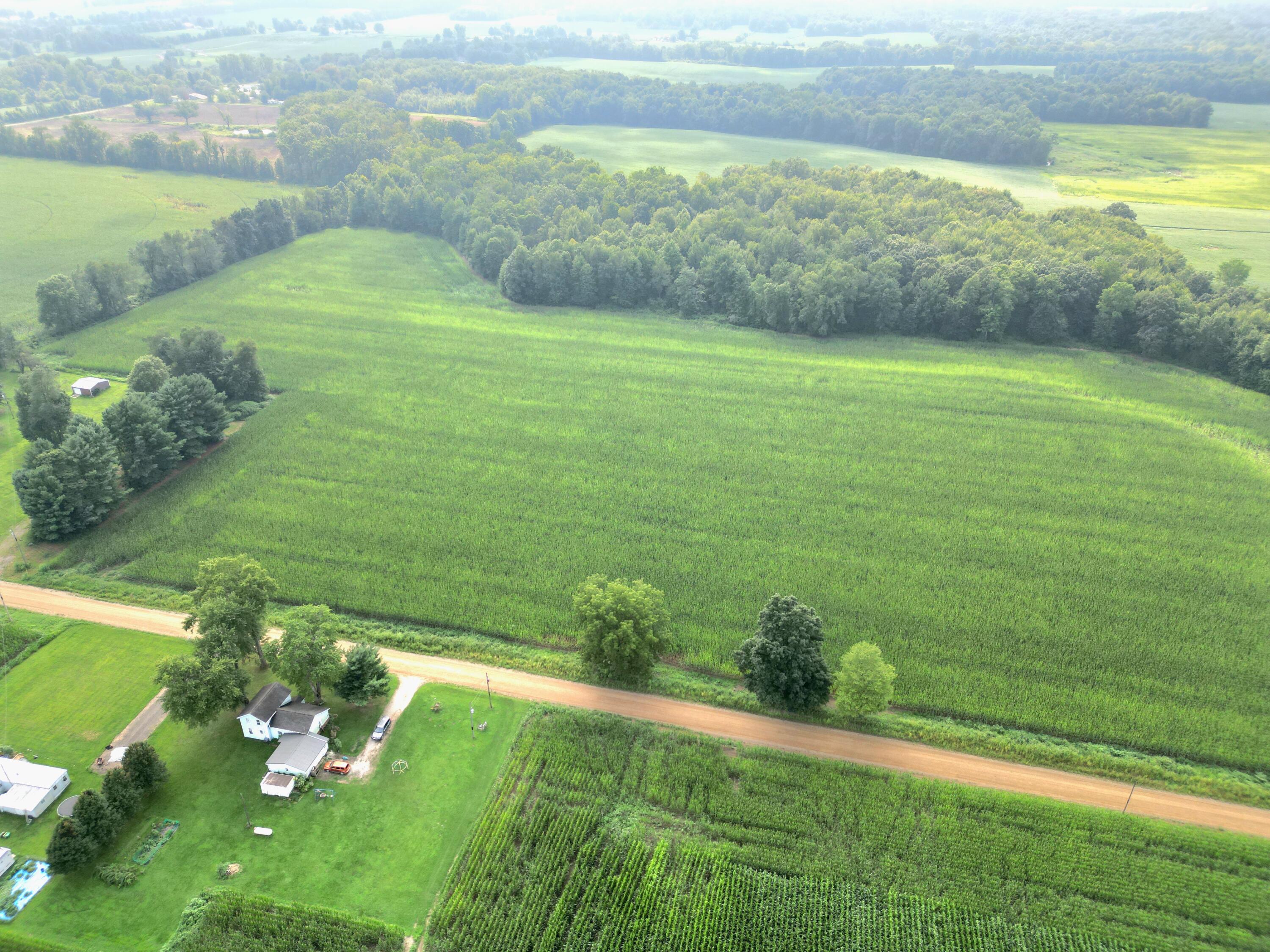 Root V/l Road Constantine, MI 49042 - Photo 5 of 10 Root drone pic 5 corn crops