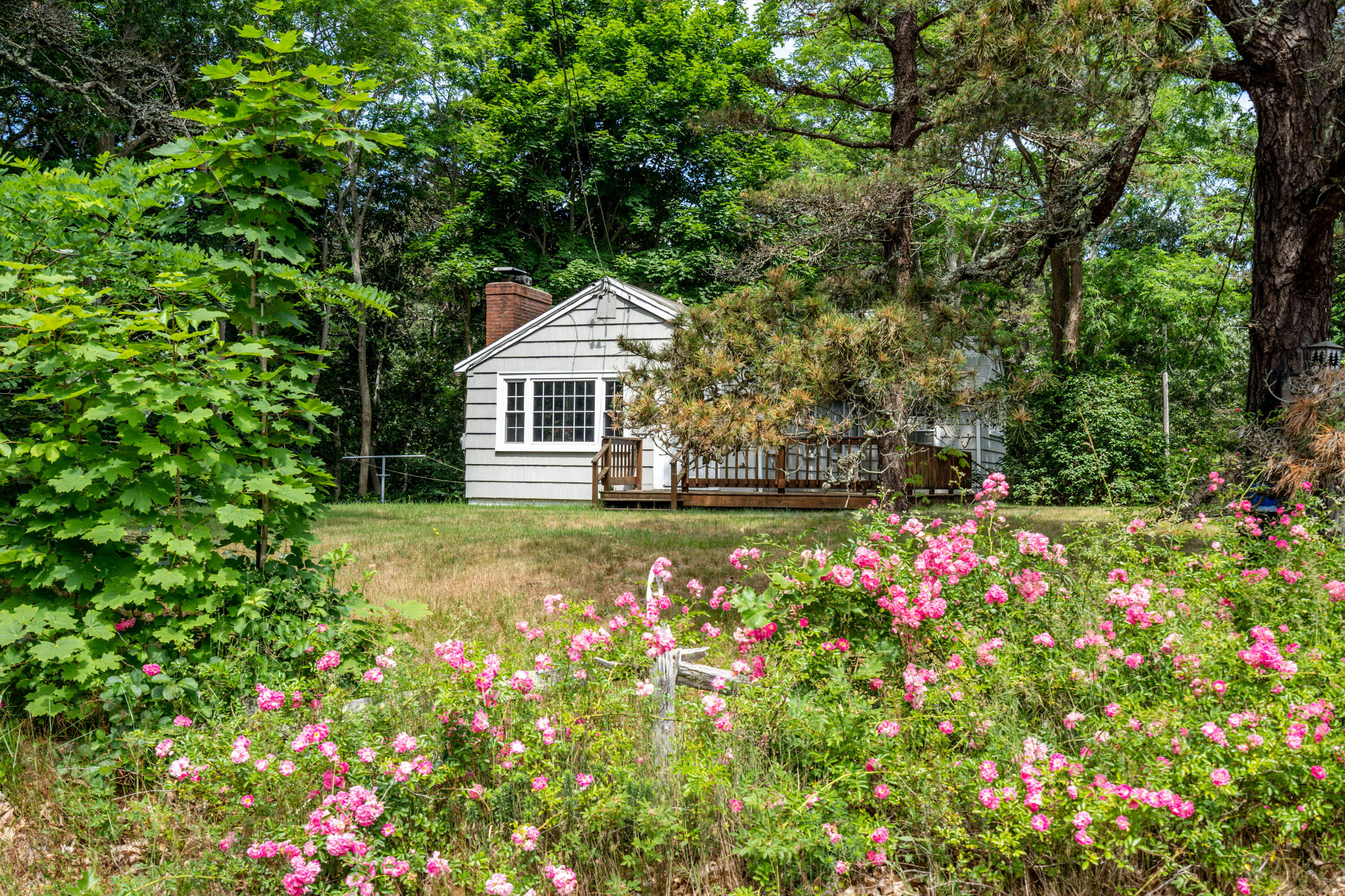 66 Pilgrim Spring Road Wellfleet, MA 02667 - Photo 8 of 21 a view of a house with a big yard and large tree