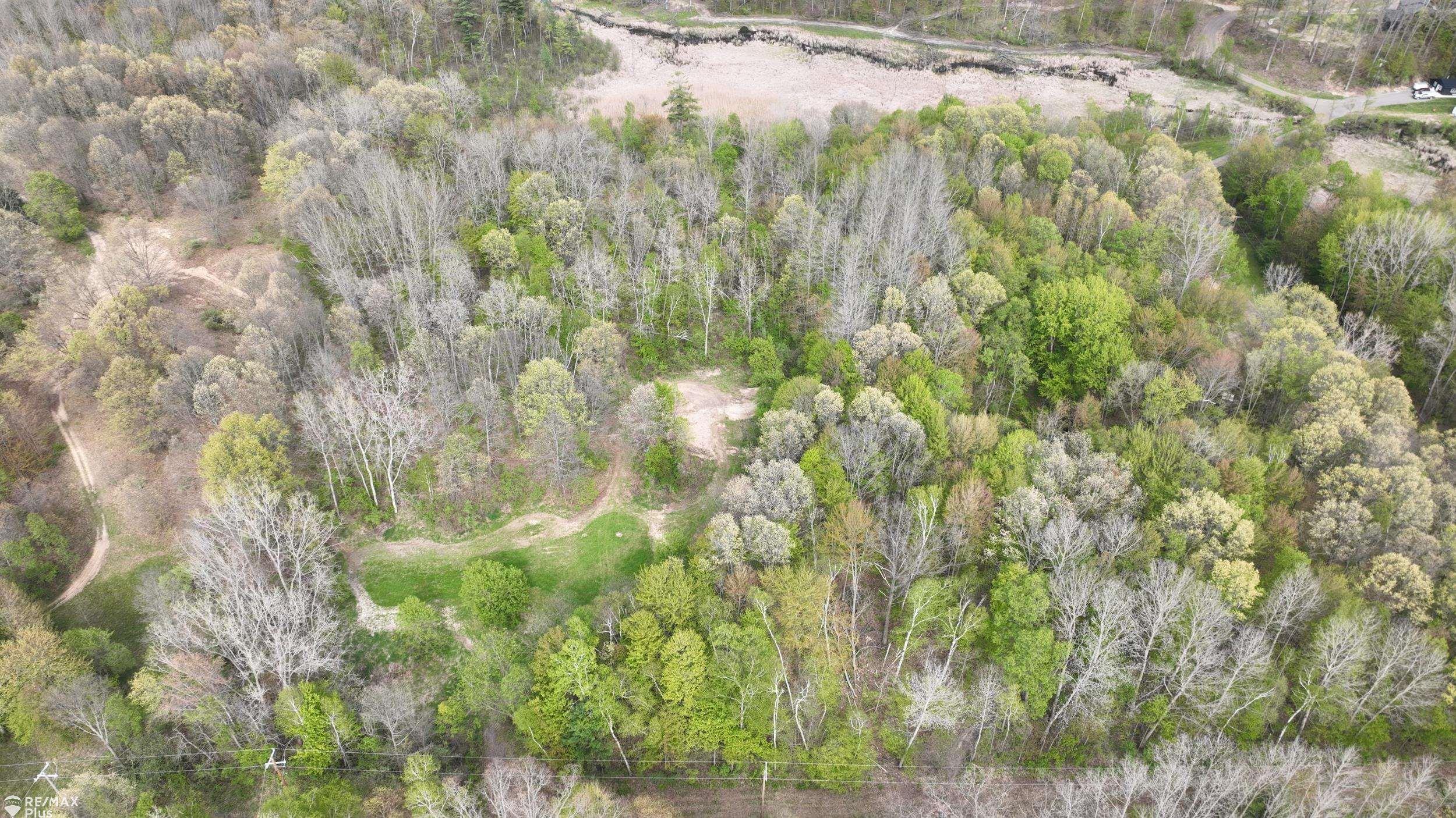 0 Miller Lake Road Columbiaville, MI 48421 - Photo 23 of 33