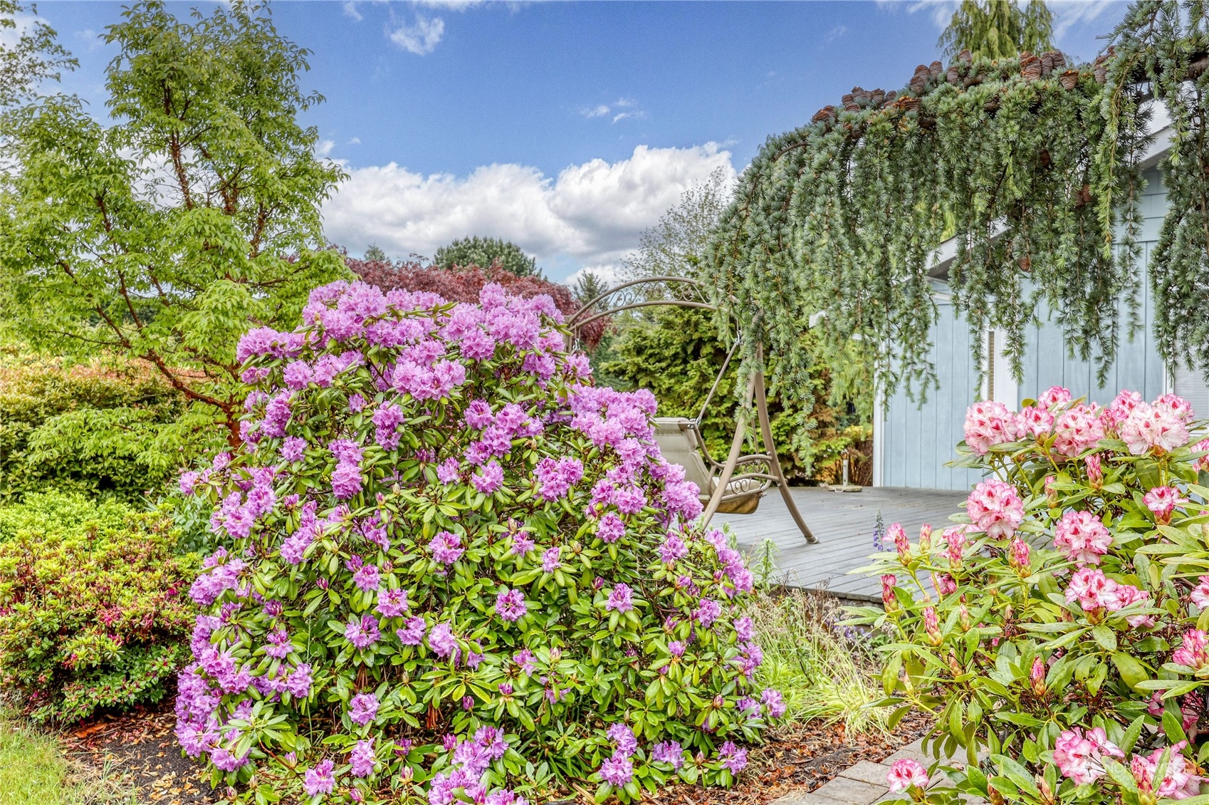 878 North Kendall Road Sequim, WA 98382 - Photo 7 of 30 a picture of flowers