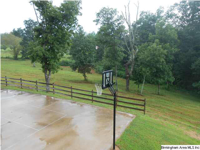 7015 Co Highway 24 Oneonta, AL 35121 - Photo 19 of 30