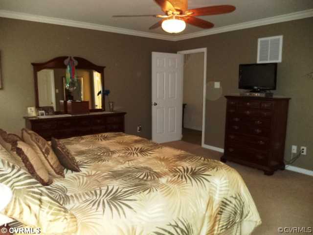 11836 Rimswell Place Midlothian, VA 23112 - Photo 16 of 23 Master Bedroom - Pic 2 - Another view of the Maste