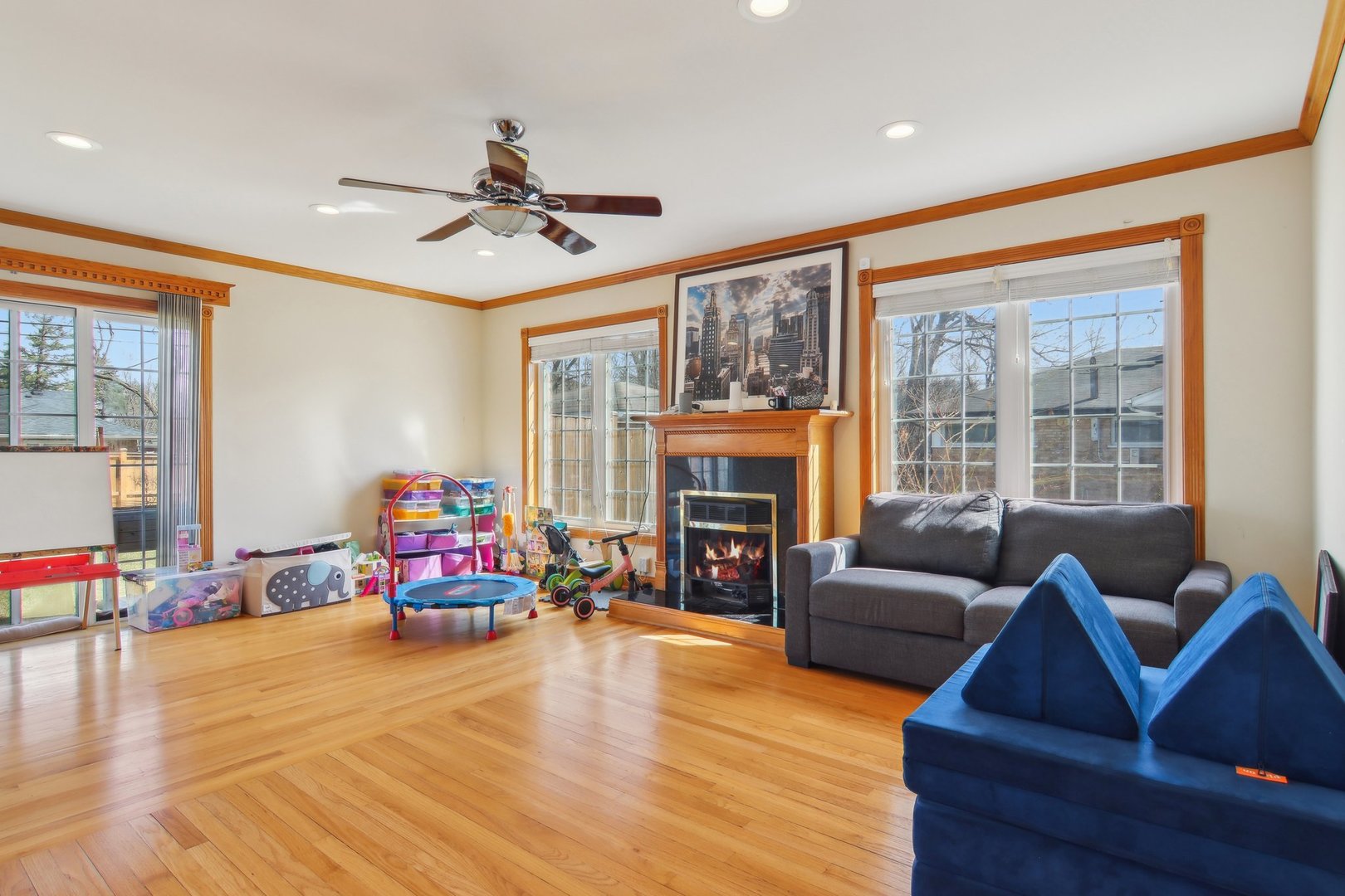 1115 Whitfield Road Northbrook, IL 60062 - Photo 10 of 54 a living room with furniture and a fireplace