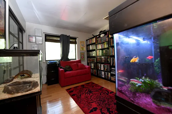 a living room with furniture a rug and a potted plant