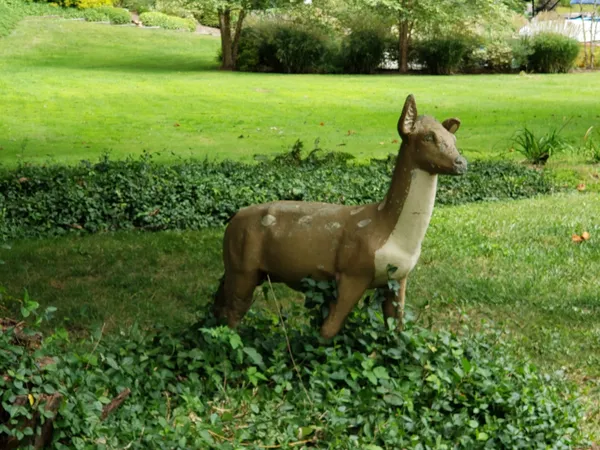 a view of a garden with an outdoor space