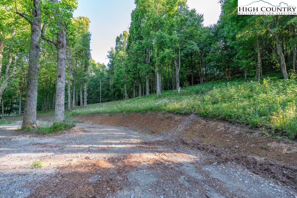 0 Austin Ridge Road Boone, NC 28607 - Photo 1 of 14 Gallery Image 1