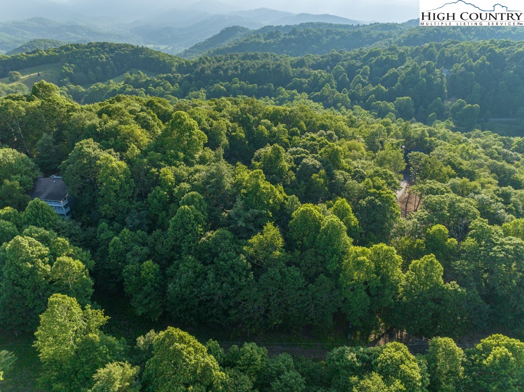 0 Austin Ridge Road Boone, NC 28607 - Photo 11 of 14 Gallery Image 11