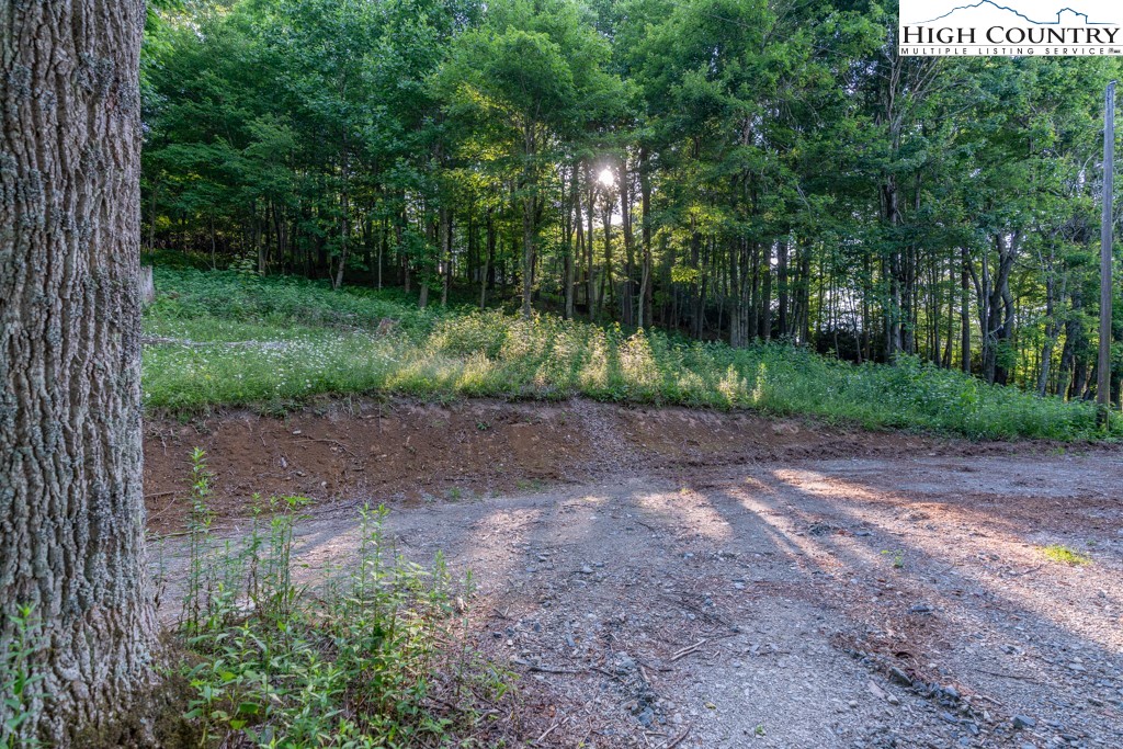 0 Austin Ridge Road Boone, NC 28607 - Photo 3 of 14 Gallery Image 3