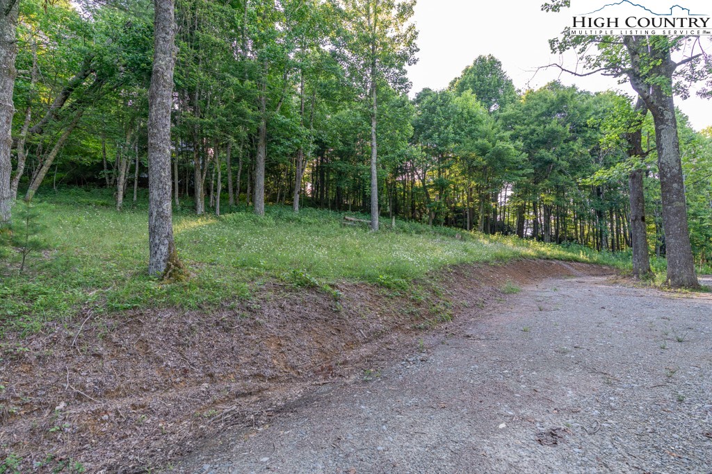 0 Austin Ridge Road Boone, NC 28607 - Photo 4 of 14 Gallery Image 4