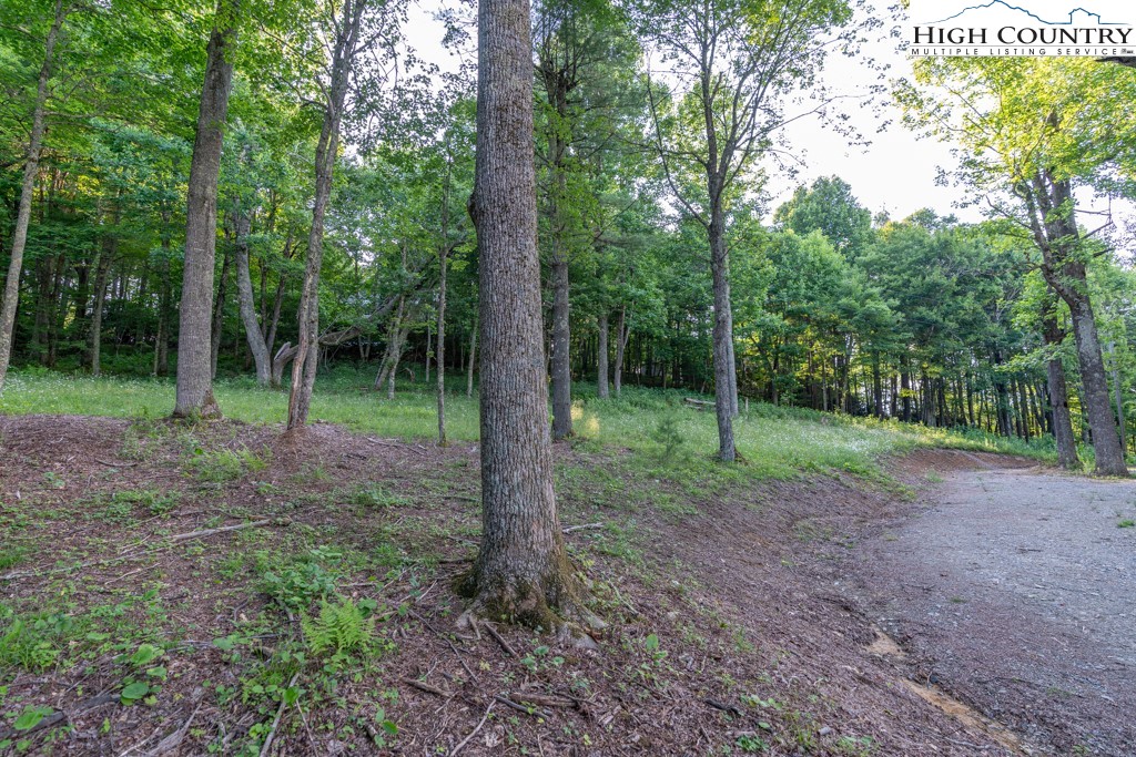 0 Austin Ridge Road Boone, NC 28607 - Photo 5 of 14 Gallery Image 5