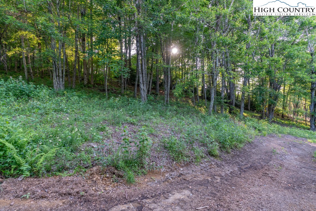 0 Austin Ridge Road Boone, NC 28607 - Photo 8 of 14 Gallery Image 8