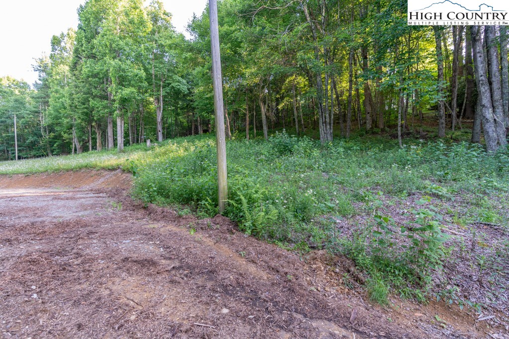 0 Austin Ridge Road Boone, NC 28607 - Photo 9 of 14 Gallery Image 9