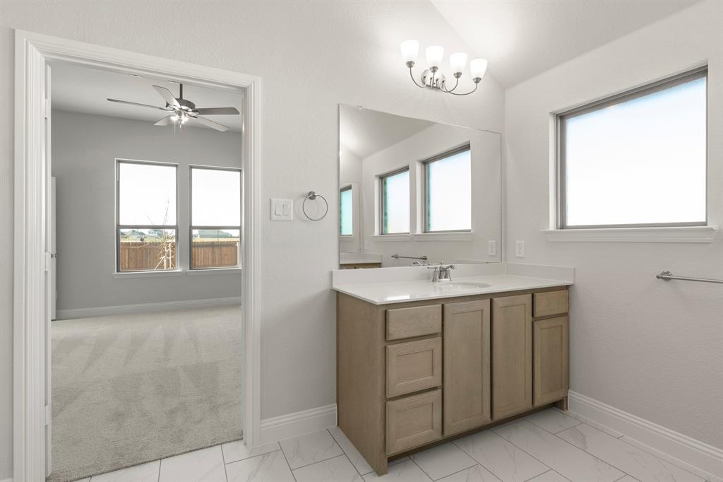 395 Misty Meadow Lane Lavon, TX 75166 - Photo 11 of 24 a bathroom with a sink and a mirror