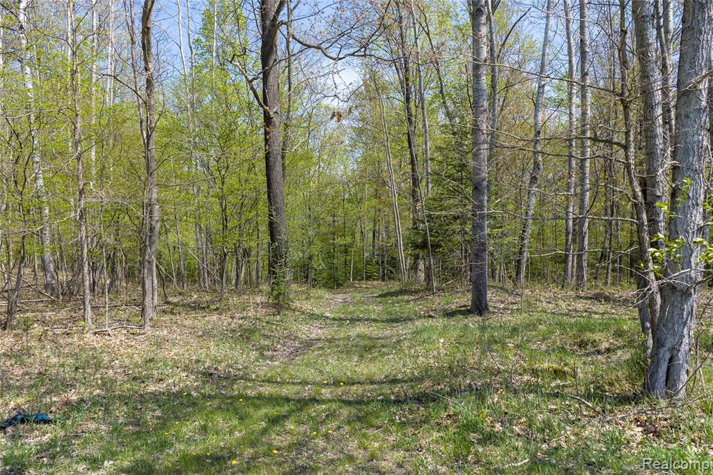 4180 Sage Lake Road Lupton, MI 48635 - Photo 37 of 40