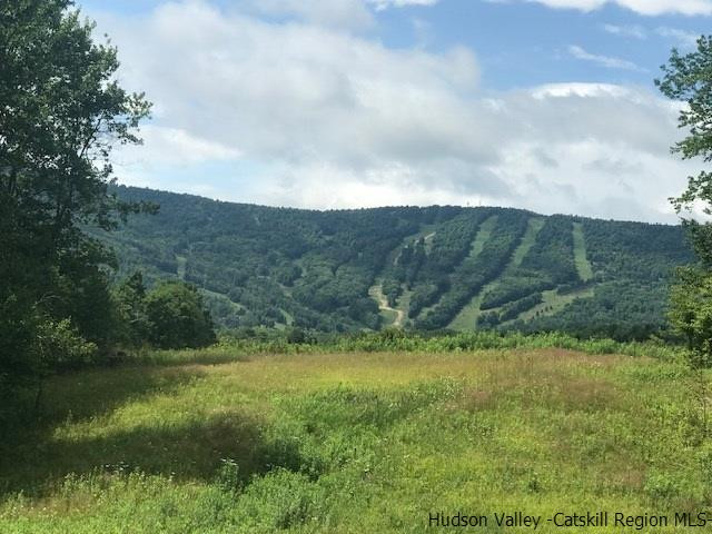 21 Goff Road Windham, NY 12496 - Photo 2 of 34 Photo 2