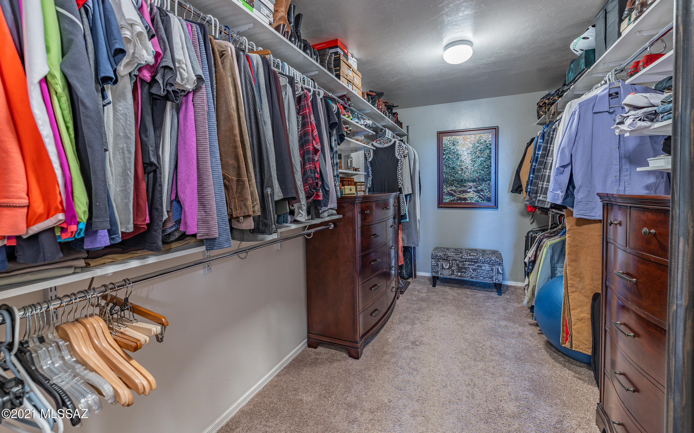 39223 Rodeo Buckle Drive Tucson, AZ 85739 - Photo 21 of 48