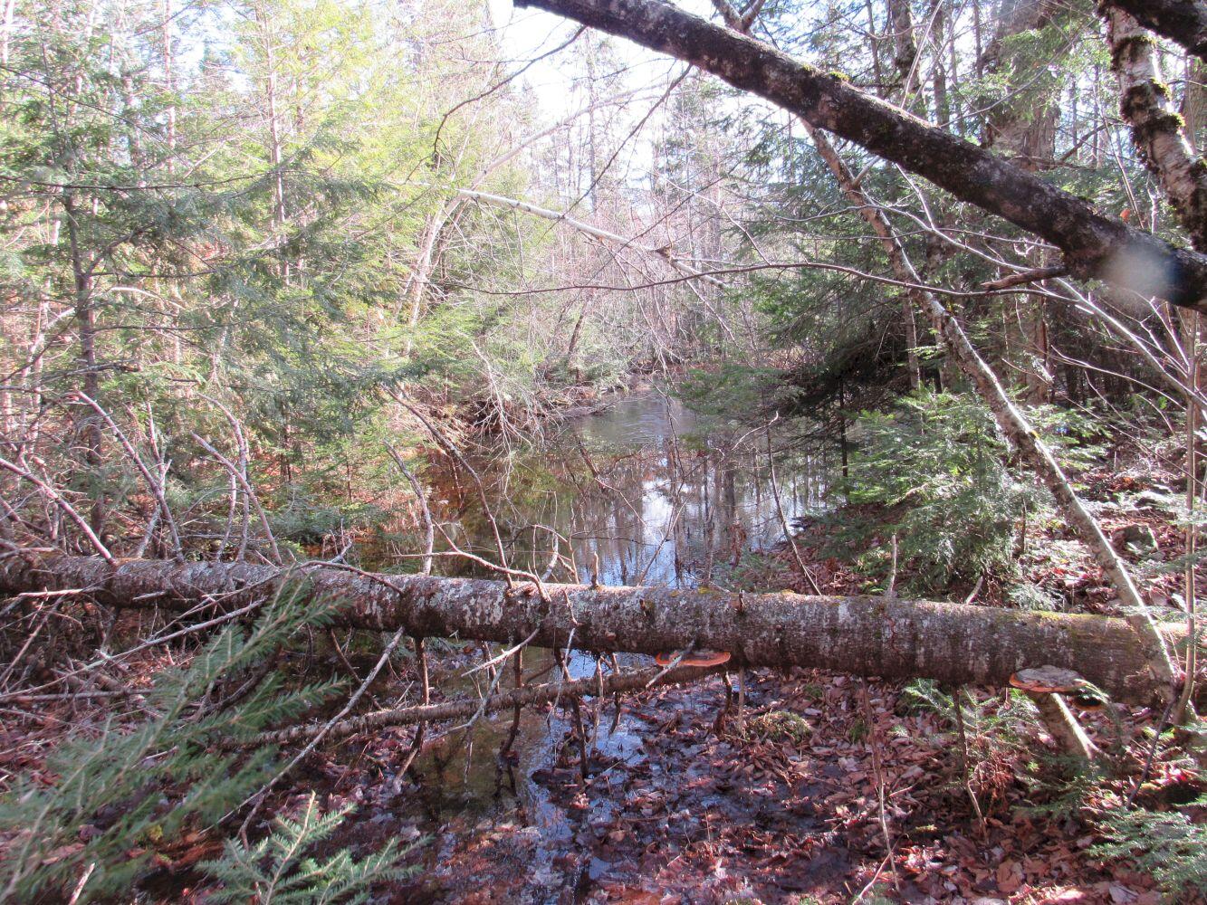 M5-l2 Parkman Road Wellington, ME 04942 - Photo 30 of 35 #29
