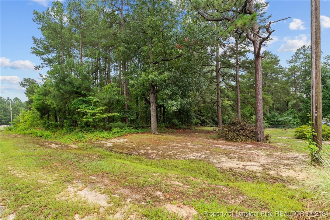 188 Vic Keith Road Sanford, NC 27332 - Photo 37 of 47 Gallery Image 37