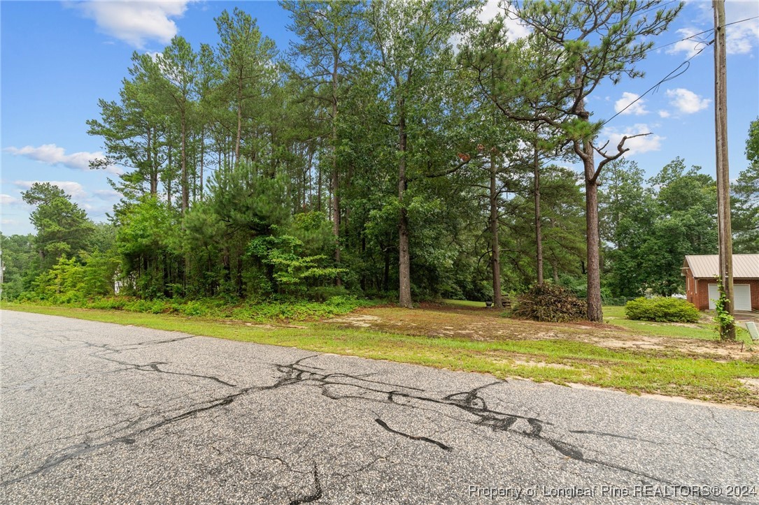 188 Vic Keith Road Sanford, NC 27332 - Photo 38 of 47 Gallery Image 38