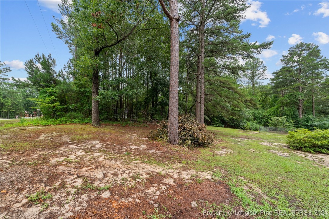 188 Vic Keith Road Sanford, NC 27332 - Photo 40 of 47 Gallery Image 40
